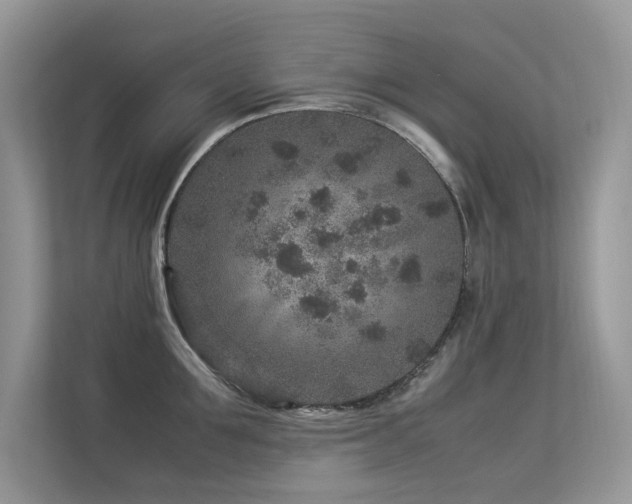 X0000113370907200909151357