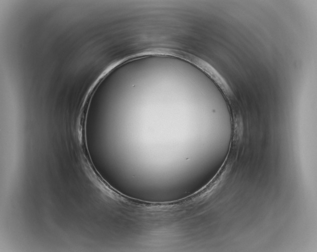 X0000113370908200909151357