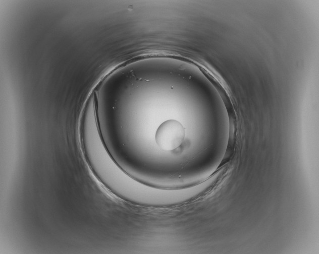 X0000113370909200909151357