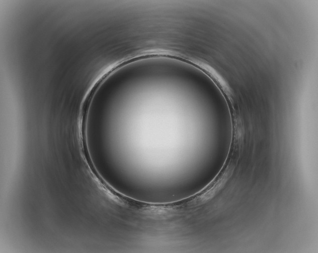 X0000113370910200909151357