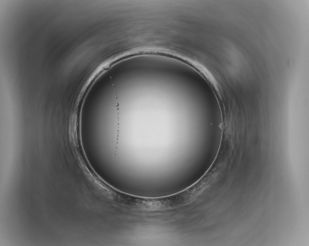 X0000113370911200909151357