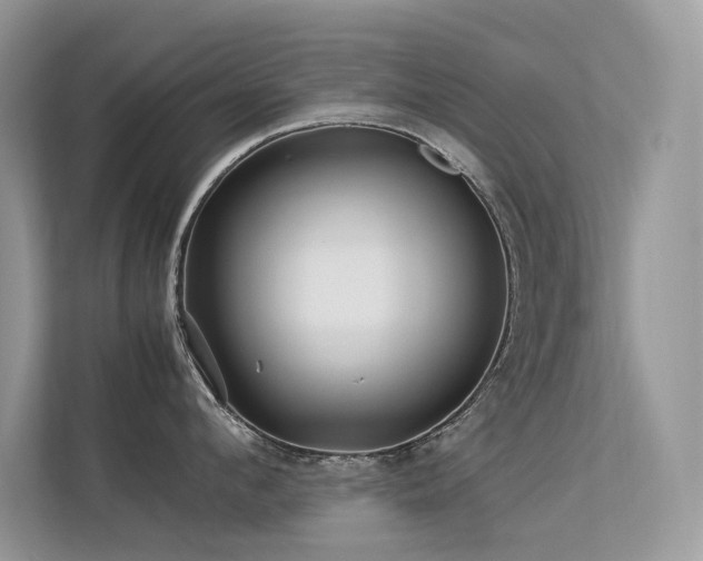 X0000113370912200909151357
