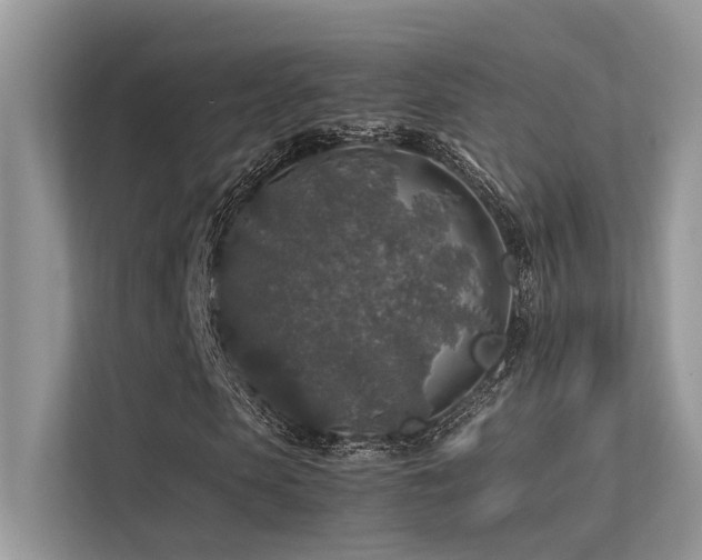 X0000113370913200909151356