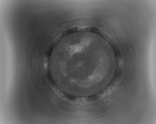 X0000113370914200909151356