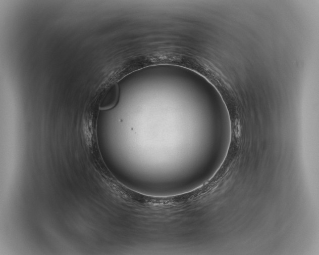X0000113370915200909151356