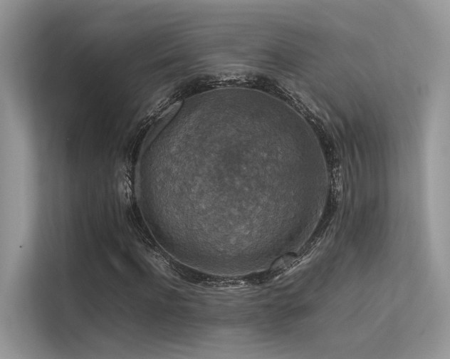 X0000113370916200909151356