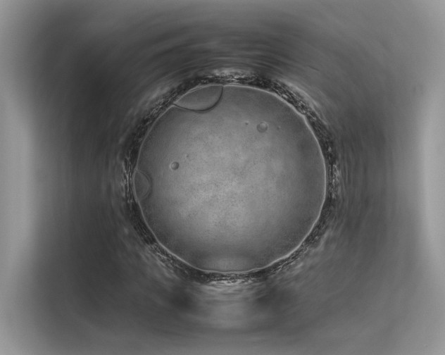 X0000113370917200909151356