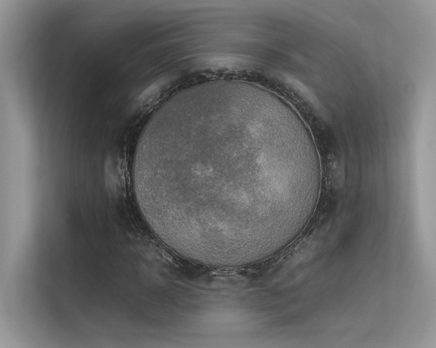 X0000113370918200909151356
