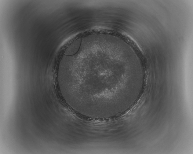 X0000113370919200909151356