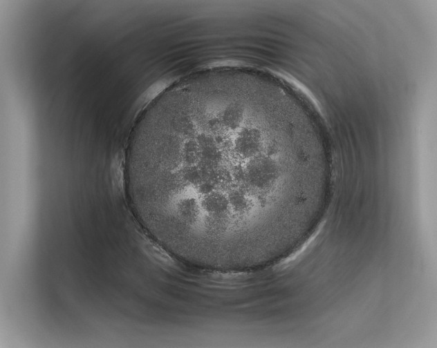 X0000113370921200909151356
