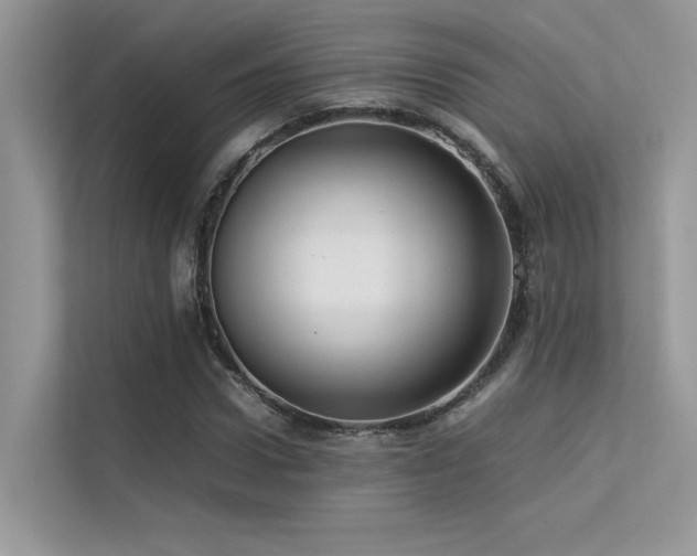 X0000113370922200909151356