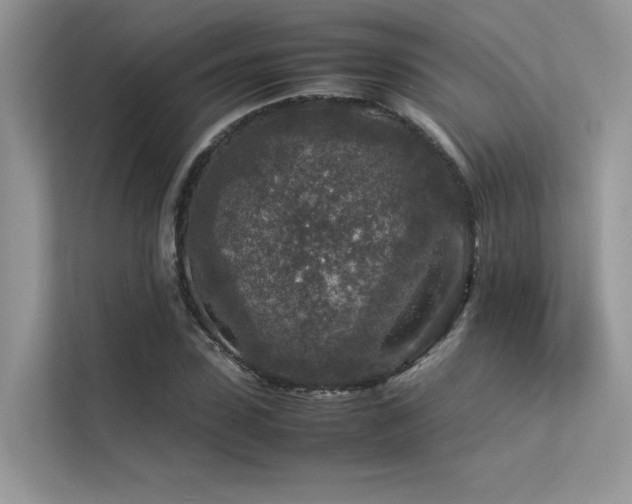 X0000113370923200909151356