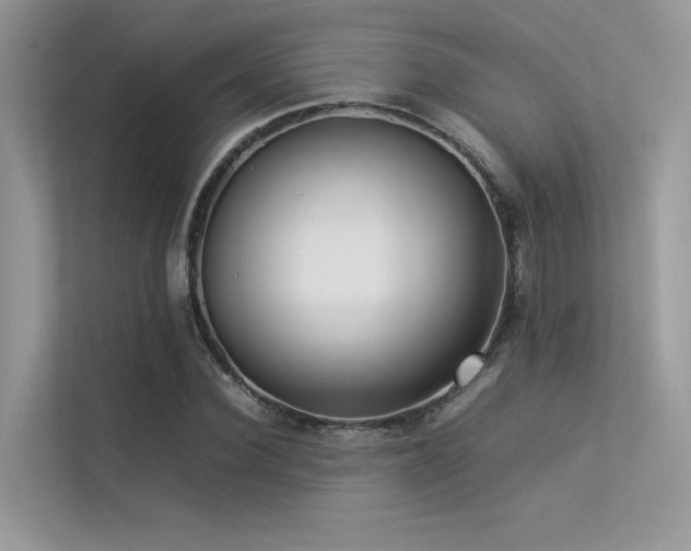 X0000113370924200909151356
