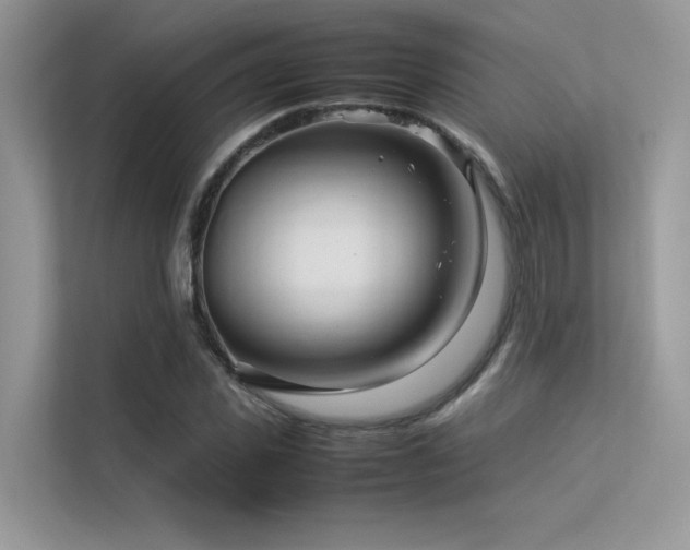 X0000113370925200909151356