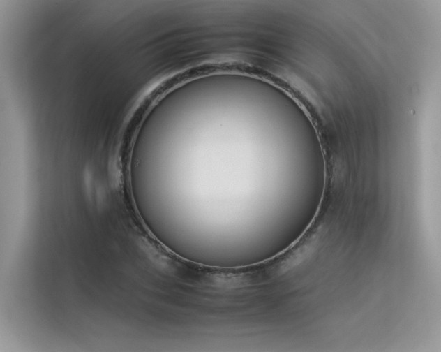 X0000113370927200909151356