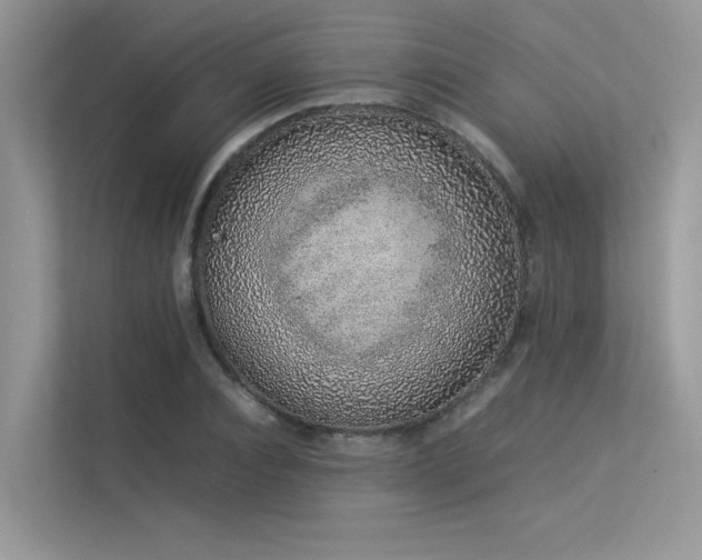 X0000113370928200909151356