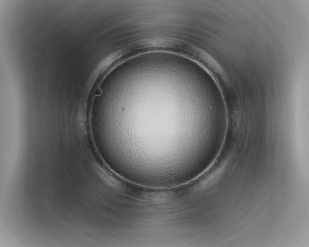 X0000113370930200909151356
