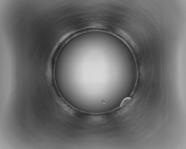 X0000113370931200909151356