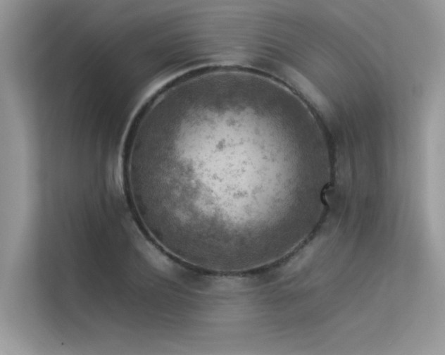 X0000113370932200909151356