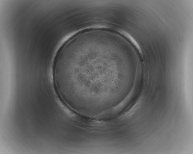 X0000113370935200909151356