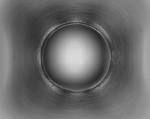 X0000113370939200909151357
