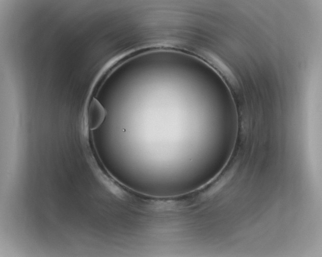 X0000113370940200909151357