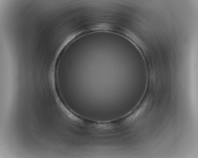 X0000113370941200909151357