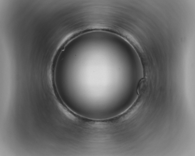 X0000113370942200909151357