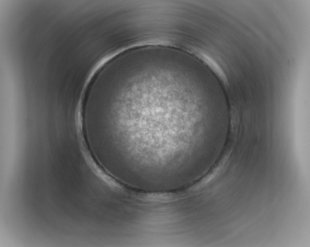 X0000113370944200909151357