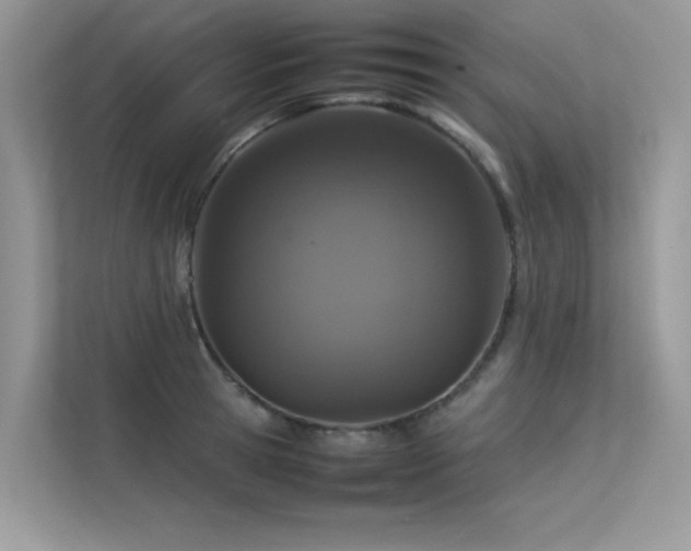 X0000113370945200909151357