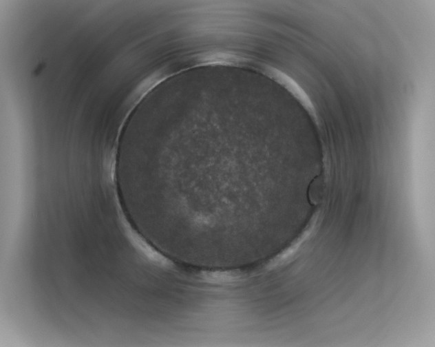 X0000113370946200909151357