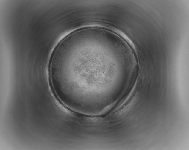 X0000113370951200909151357