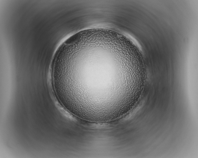 X0000113370952200909151357