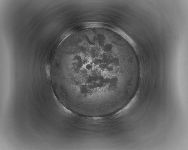 X0000113370953200909151357