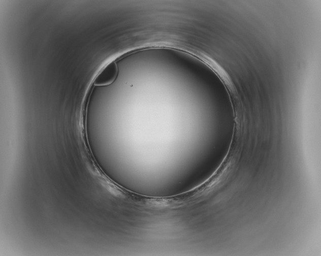 X0000113370956200909151357