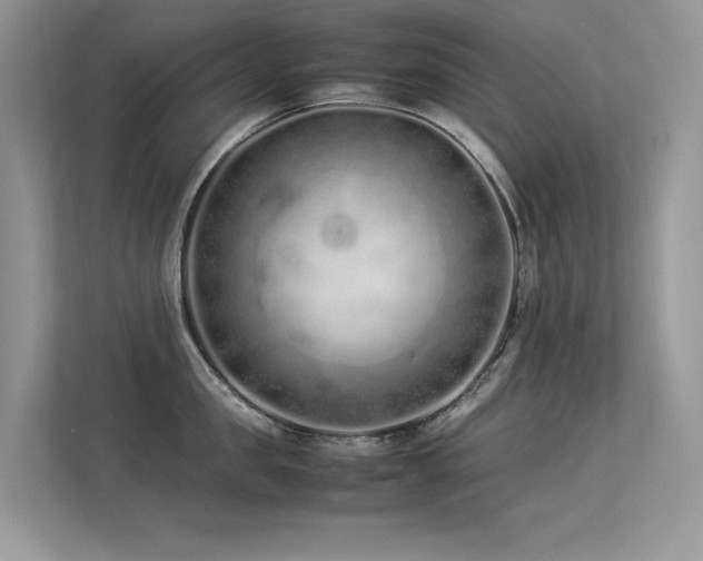 X0000113370957200909151357