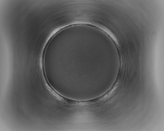 X0000113370958200909151357