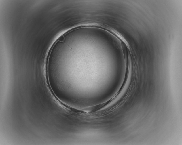 X0000113370959200909151357