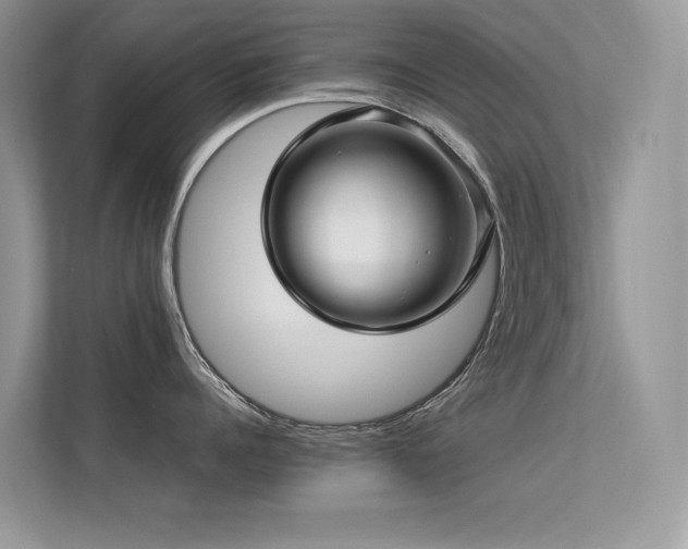 X0000113370960200909151357