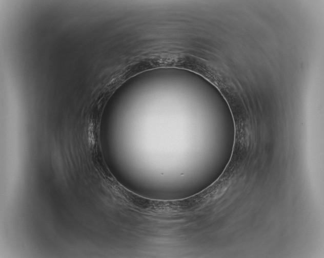 X0000113370962200909151356