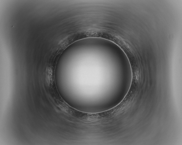 X0000113370964200909151356