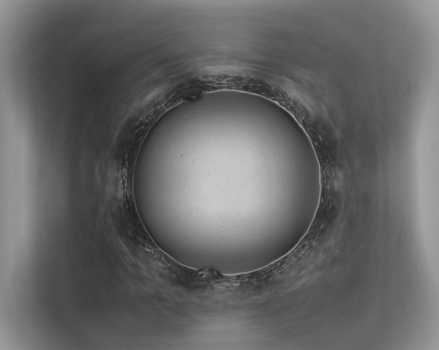 X0000113370965200909151356