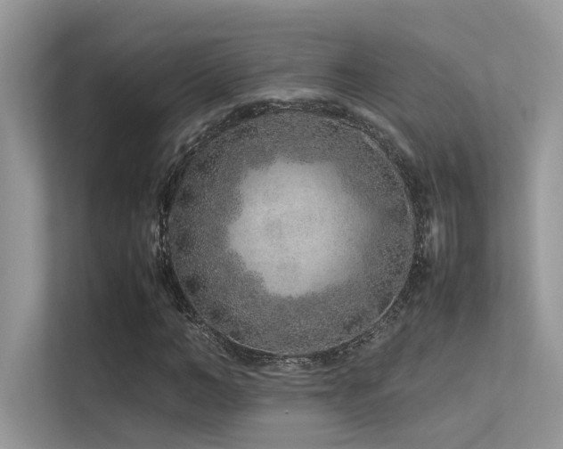 X0000113370966200909151356
