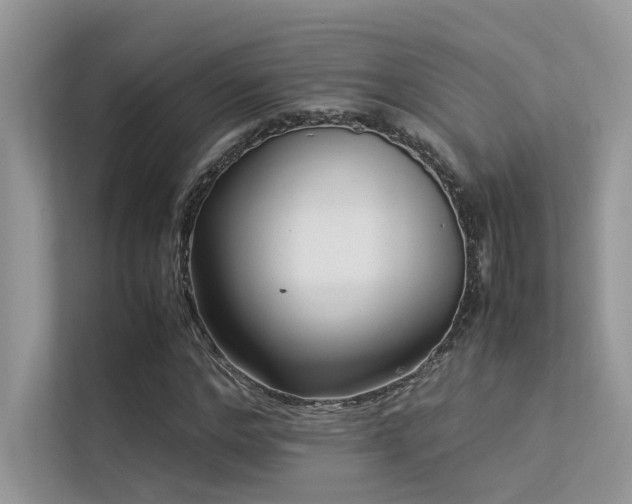 X0000113370968200909151356