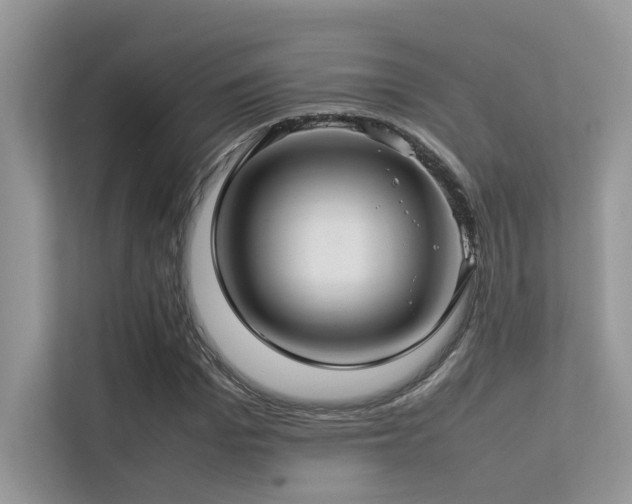 X0000113370969200909151356