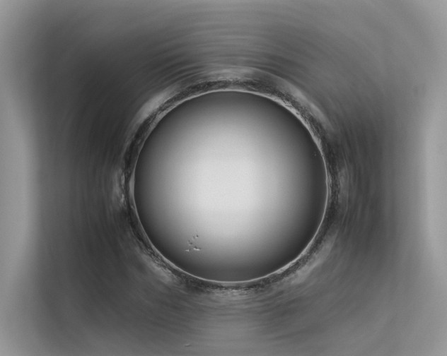 X0000113370970200909151356