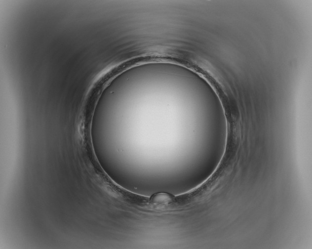 X0000113370971200909151356