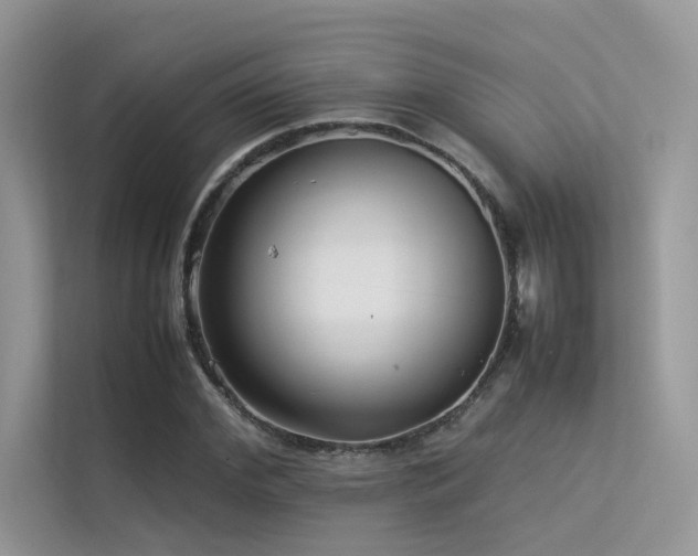 X0000113370972200909151356