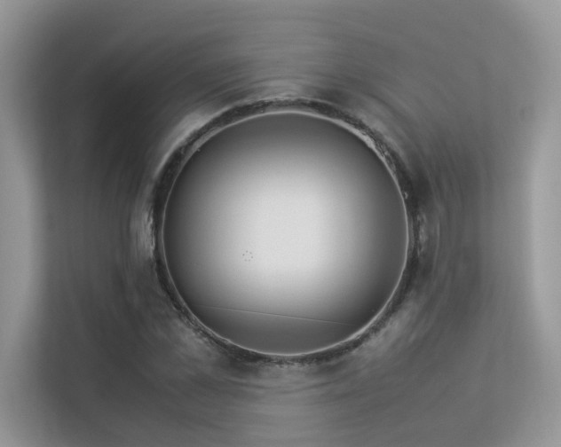 X0000113370973200909151356