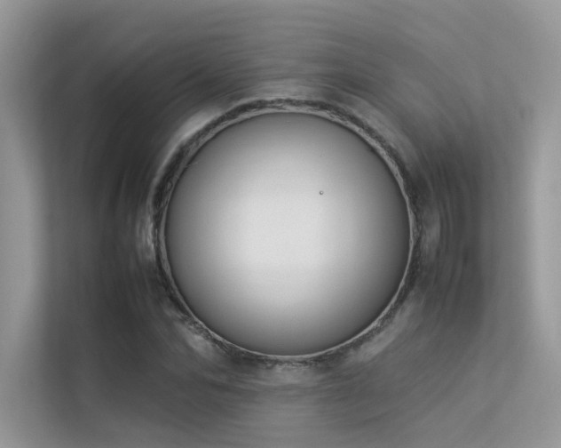 X0000113370974200909151356